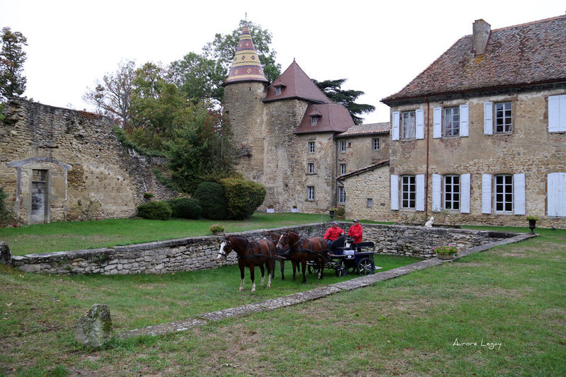 Chateau de Vallin