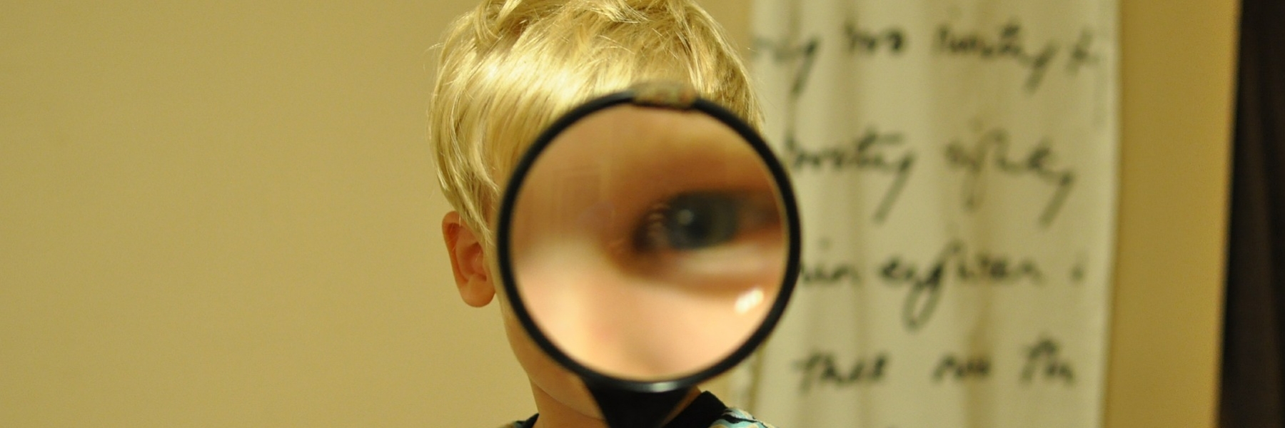 magnifying-glass-552852_1920_1800x600_acf_cropped