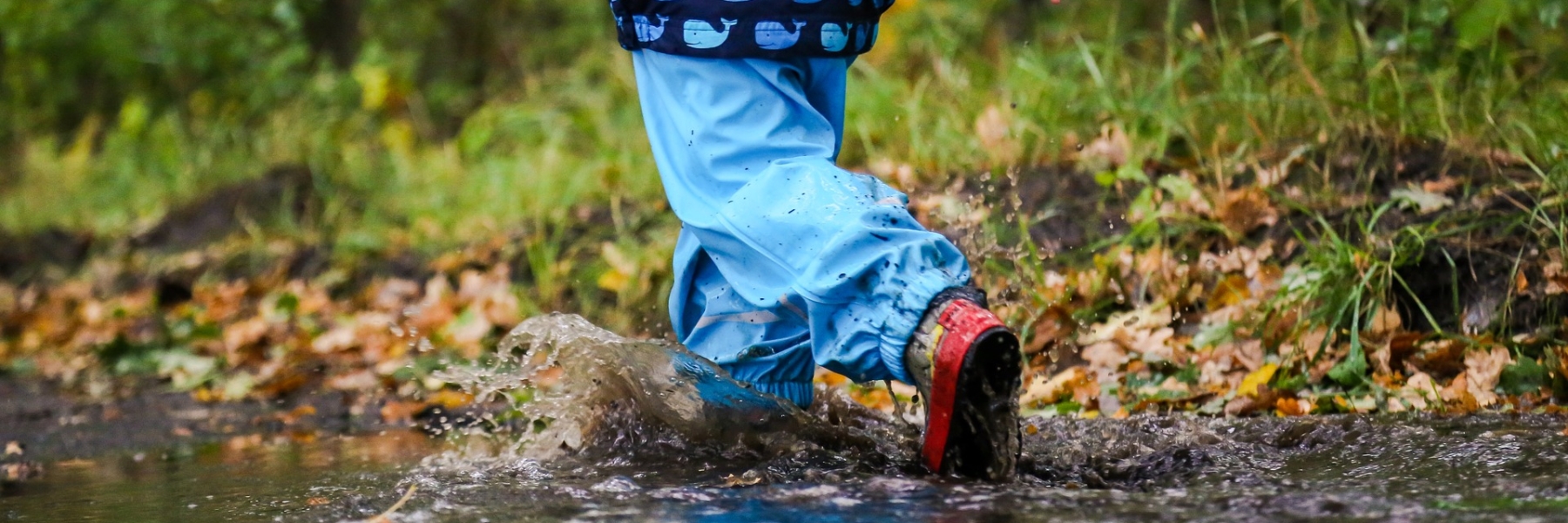 boy-1722570_1920_1800x600_acf_cropped