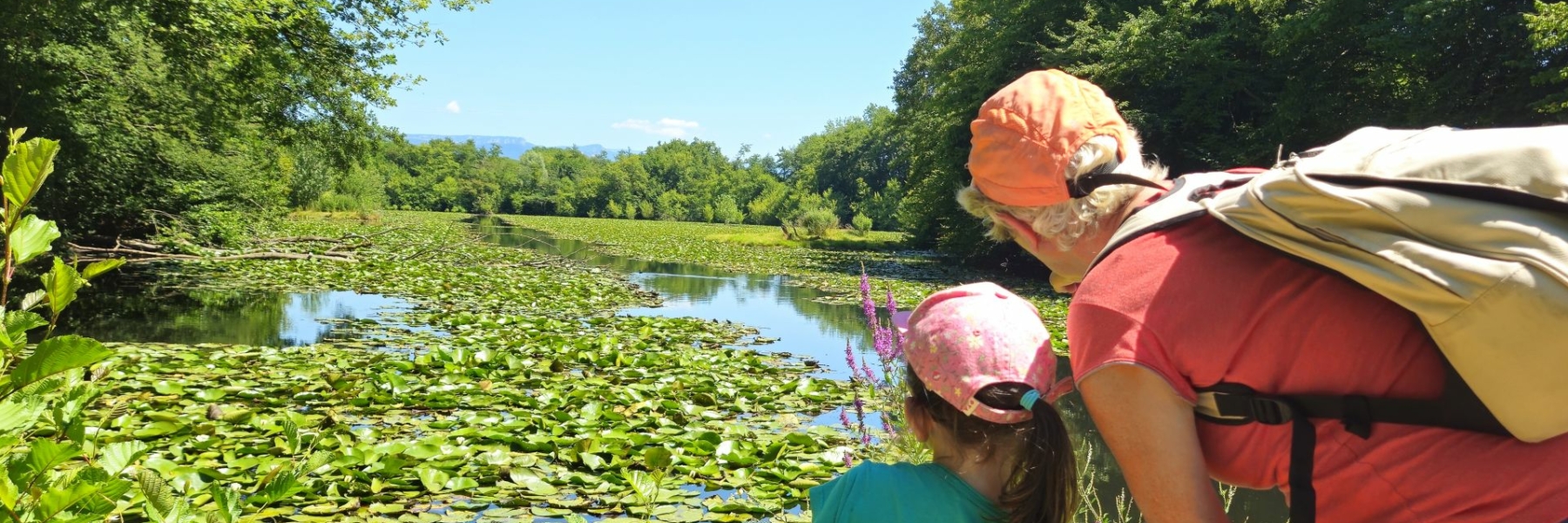 LES-ABRETS-Malseroud-3-SMALL_1800x600_acf_cropped-1